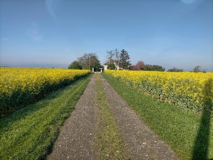 Studio " Tournesol " Au Coeur Du Berry Les Bordes Zewnętrze zdjęcie